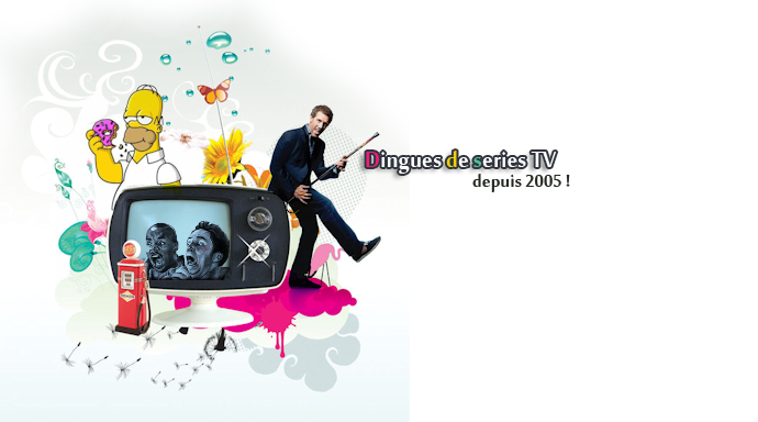 DDSTV-THEME-2011-BOUTONS-010.png
