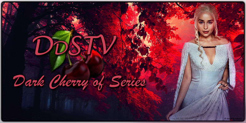 DDSTV-THEME-2017-029.png