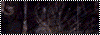 DDSTV_PART_005.gif