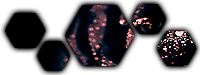 Aucun message non lu