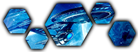 Aucun message non lu