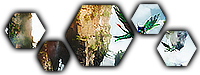 Aucun message non lu
