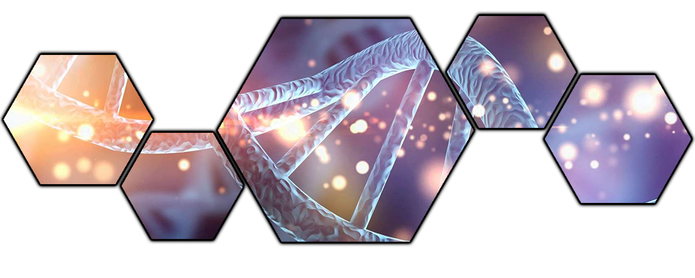 XMENMILLENIUM-DECOSUJET-001.png