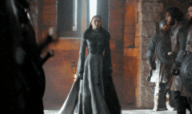 GOTWIS-DECODIVERS-002.gif