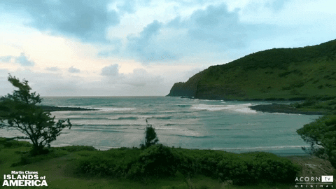 GOTWIS-DECODIVERS-005.gif