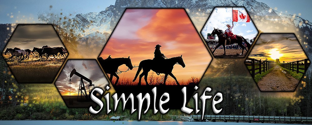 THESIMPLELIFE-BANNIERE-003.jpg