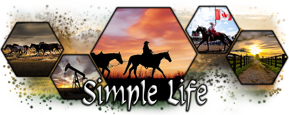 THESIMPLELIFE-BANNIERE-004.png