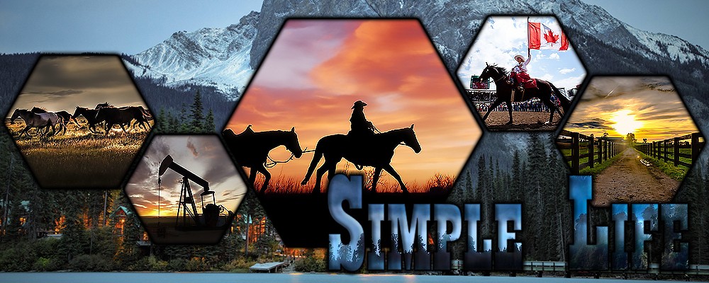 THESIMPLELIFE-BANNIERE-001.jpg