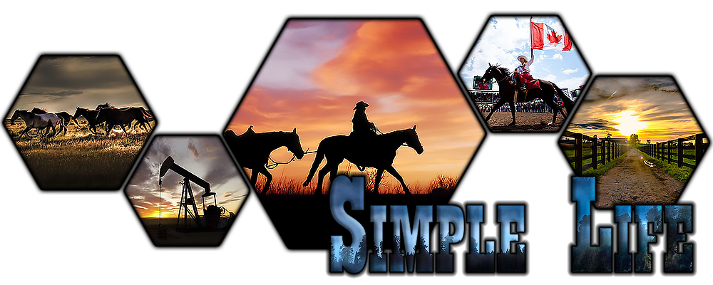 THESIMPLELIFE-BANNIERE-002.png