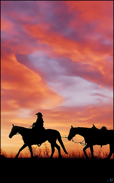 SIMPLELIFE-VAVA-400X640-001.png
