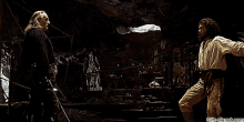 ZORRO-DECODIVERS-006.gif